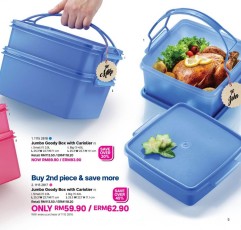 Cat_8_2020__Tupperware_Brands_Malaysia_PM_pages-to-jpg-0011