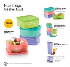 Cat_8_2020__Tupperware_Brands_Malaysia_PM_pages-to-jpg-0016
