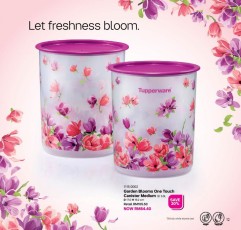 Cat_8_2020__Tupperware_Brands_Malaysia_PM_pages-to-jpg-0025